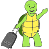 Solutions Turtle Picture