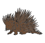 Porcupine Picture
