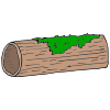 +long+log Picture