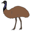 I+see+an+emu. Picture