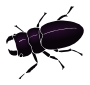 Beetle Stencil