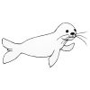 like+a+seal Picture