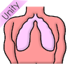 Lungs Picture