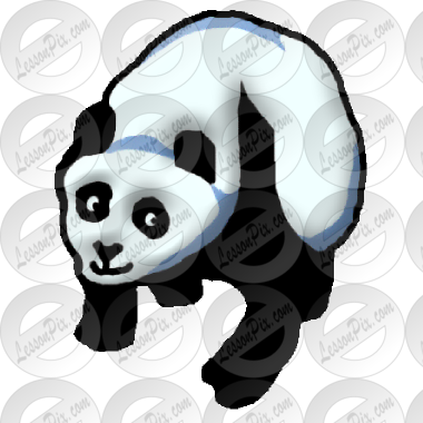 Panda Picture