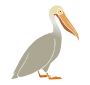 Pelican Stencil