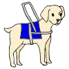 Guide+Dog Picture