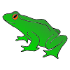green+frog Picture