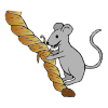 Mouse Nibbling Rope Picture