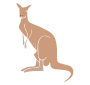 Kangaroo Stencil