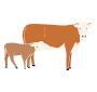 Cows Stencil
