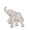Elefante Picture