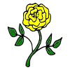 Yellow+Rose Picture