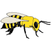 honeybee Picture