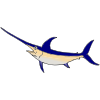 Swordfish Picture