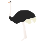 Ostrich Stencil