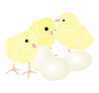 Chicks Stencil