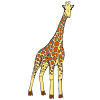 a+tall+giraffe Picture