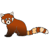 Red+Panda Picture