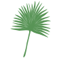 Palm Stencil