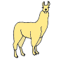 Llama Picture