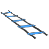 AGILITY+LADDER Picture