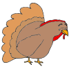 Sad Turkey Picture