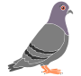 Happy Pigeon Stencil