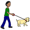 Toto+likes+to+walk. Picture