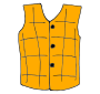 Vest Picture