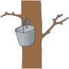 Tree Tapping Picture