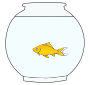 Goldfish Picture