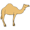 I+see+a+camel. Picture