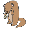 The+groundhog+is+sad. Picture