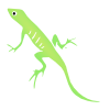gecko Stencil