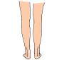 Legs Picture