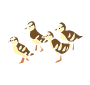 Ducklings Stencil