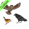 Owl_+Raven+and+Wren Picture