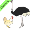Big+ostrich_+small+chicken Picture