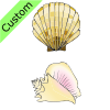 Two+shells Picture