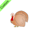 turkey Picture