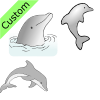 Dolphins Picture