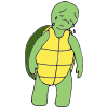 Sad Turtle Picture