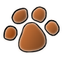 Paw Print Picture