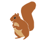 Squirrel Stencil