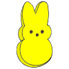 Bunny+%231 Picture