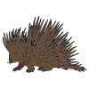 porcupine Picture