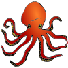 O------ctopus Picture