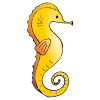 Jump+like+a+Seahorse Picture