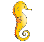 Seahorse Picture