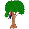 Climb+a+tree Picture